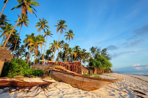 Zanzibar, ostrov koŕení.