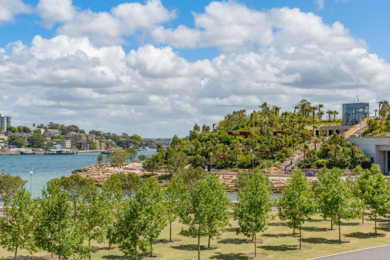 Přírodní rezervace Barangaroo.