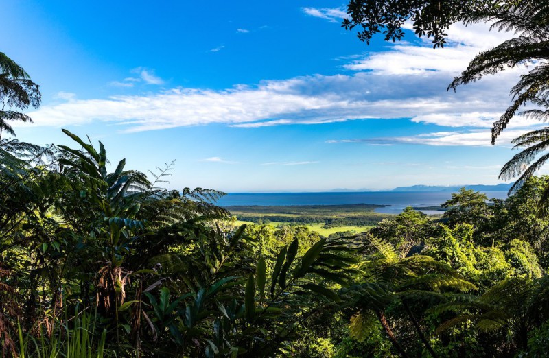 Deštný prales Daintree.