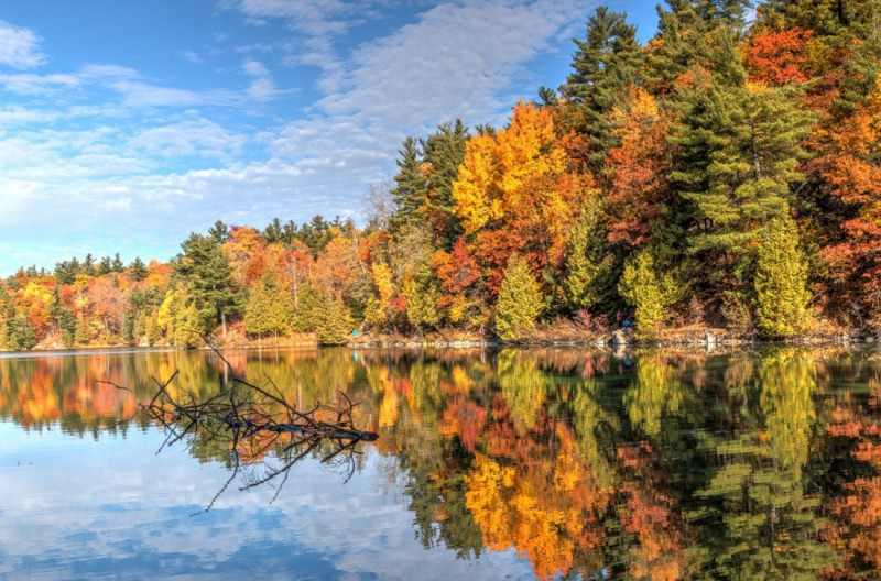 Park Gatineau.