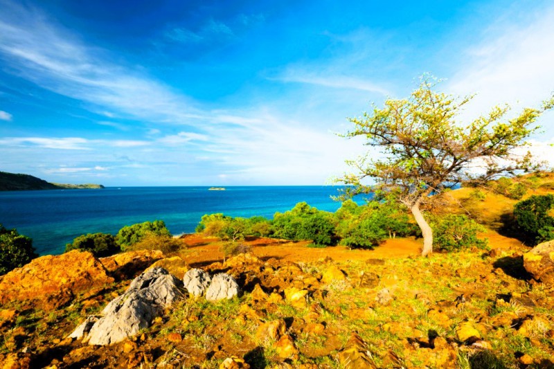 Národní park Komodo.