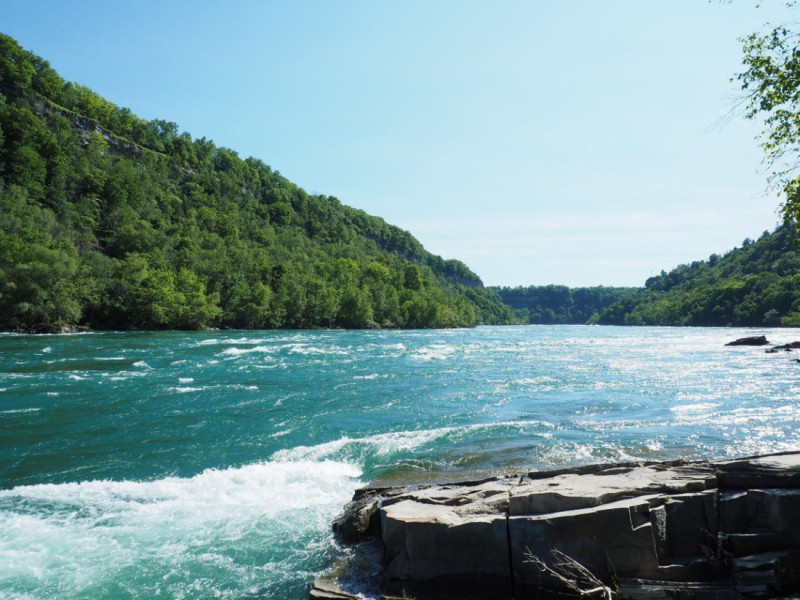 Přírodní rezervace Niagara Glen.