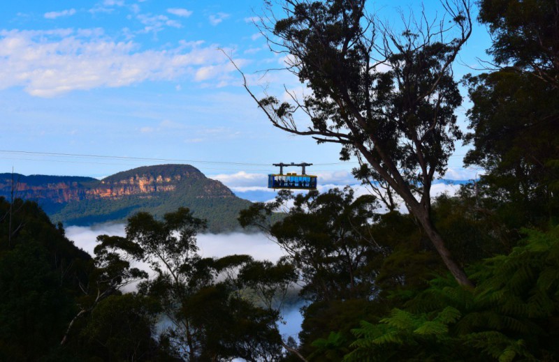 Scenic World