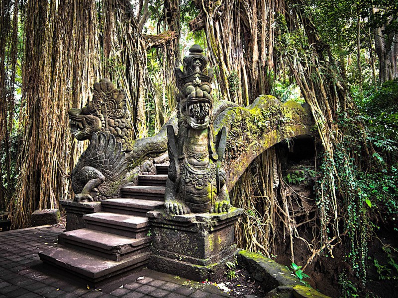  Dračí most v Opičím lese na Bali.