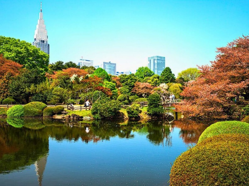 Jezírko v Shinjuku Gyoen National Park.