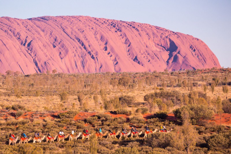 Projížďka na velbloudech kolem Uluru.