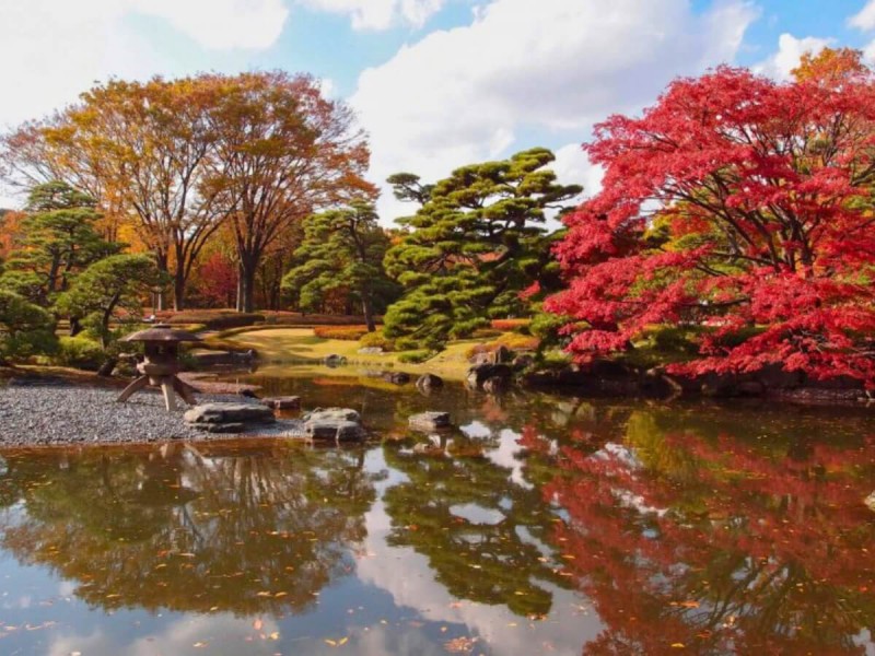 Japonská zahrada v Yoyogi parku v Tokiu.