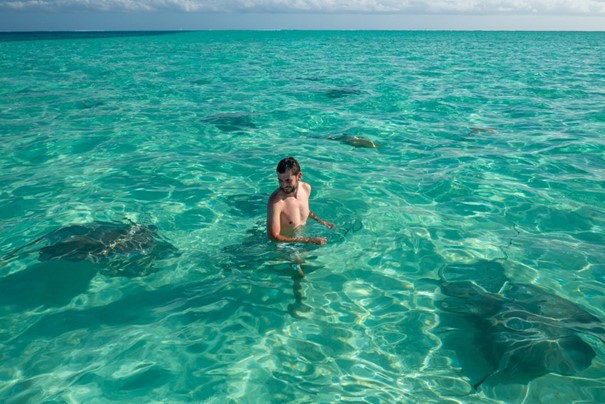 Krmení žraloků a rejnoků v laguně na Bora Bora