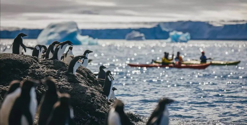 Sea Kayaking