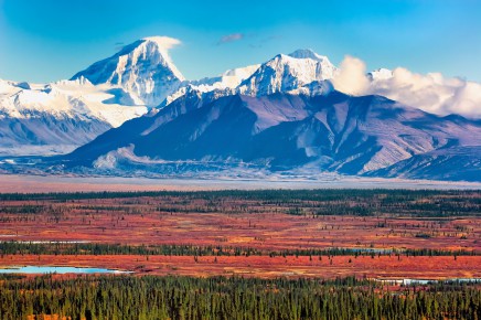 NP Denali, Aljaška 